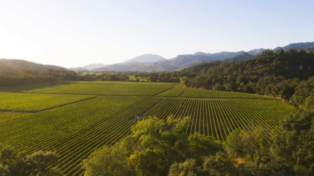 Wine Country Consultants | Christie’s International Real Estate