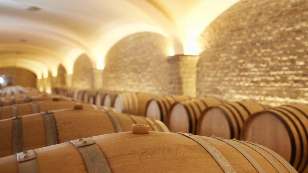 Burgundy Uncorked: Exploring the Future by Tasting the Past