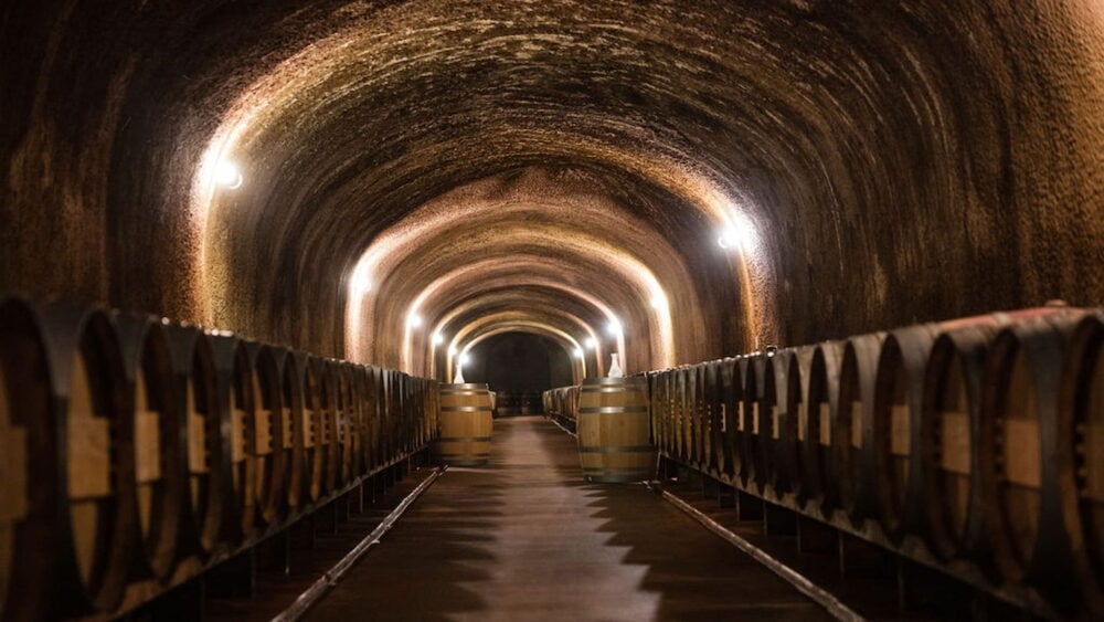 Wine barrels in a winery cave