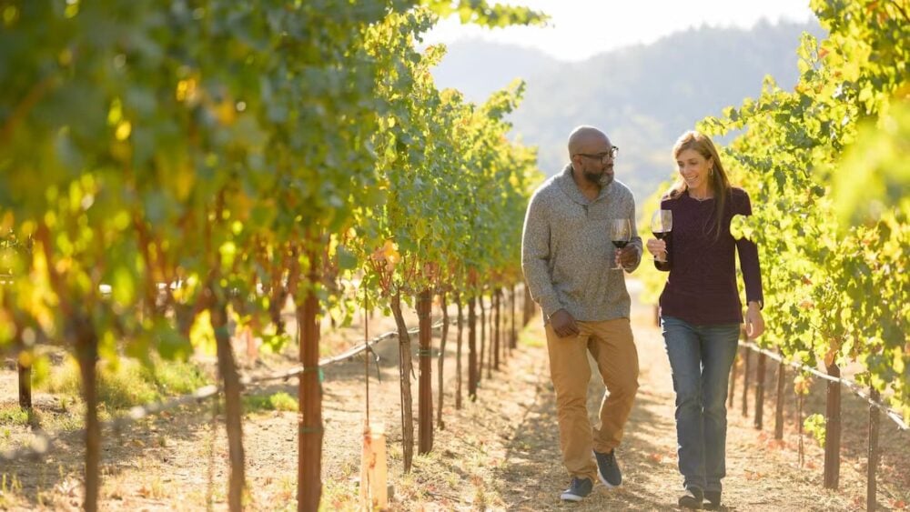 Couple walking along the vineyards with a glass of wine on their hands